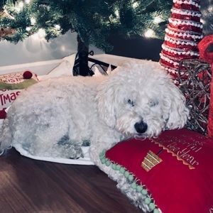 Meet your Posher, Meg